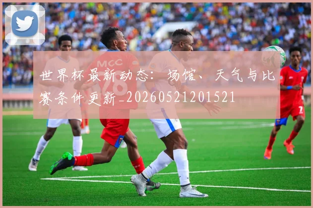 世界杯最新动态：场馆、天气与比赛条件更新_20260521201521