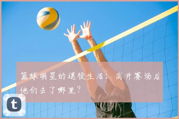 篮球明星的退役生活:离开赛场后他们去了哪里?